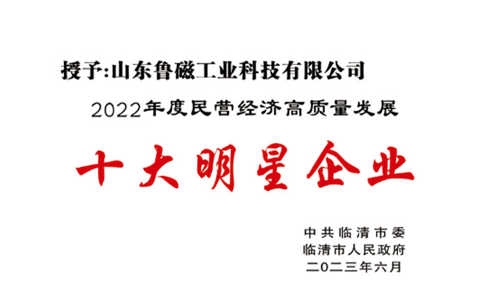 十大明星企业