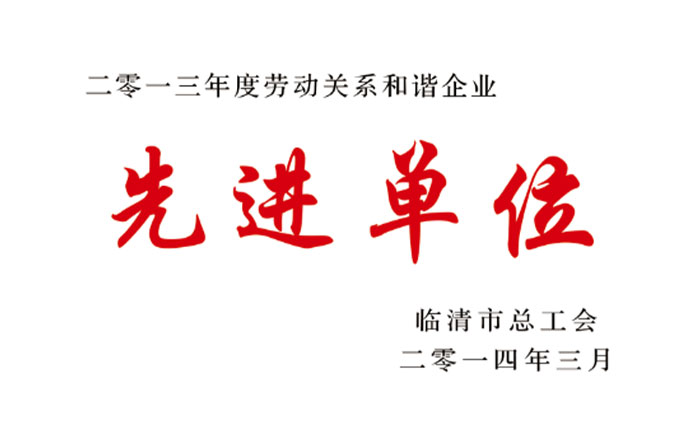 2013年先进企业